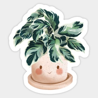 Cute Calathea White Fusion Sticker